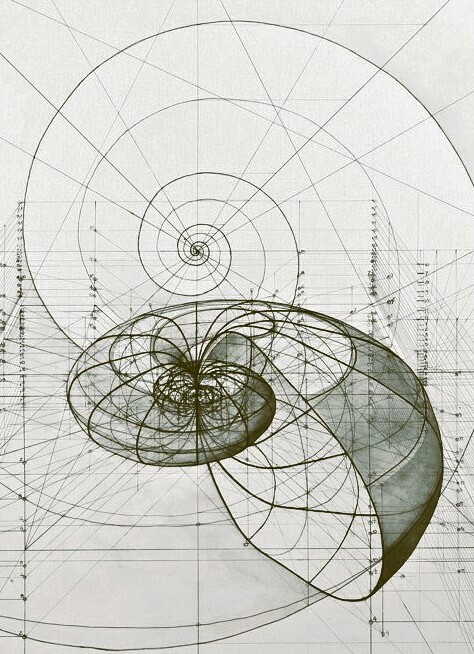 Авторский дизайн интерьеров премиум-класса — Nosova Anastasia Design Премиальный дизайн интерьеров от Anastasia Nosova. 20 лет опыта, индивидуальный подход, реализация «под ключ».