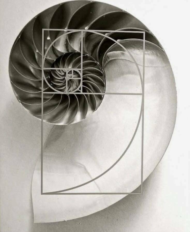 Авторский дизайн интерьеров премиум-класса — Nosova Anastasia Design Премиальный дизайн интерьеров от Anastasia Nosova. 20 лет опыта, индивидуальный подход, реализация «под ключ».