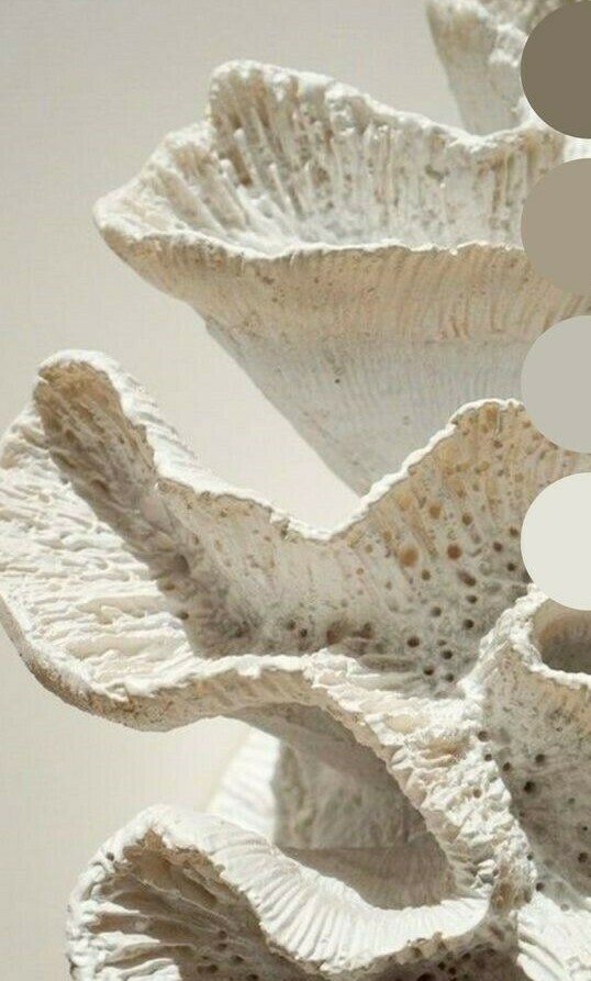 Авторский дизайн интерьеров премиум-класса — Nosova Anastasia Design Премиальный дизайн интерьеров от Anastasia Nosova. 20 лет опыта, индивидуальный подход, реализация «под ключ».